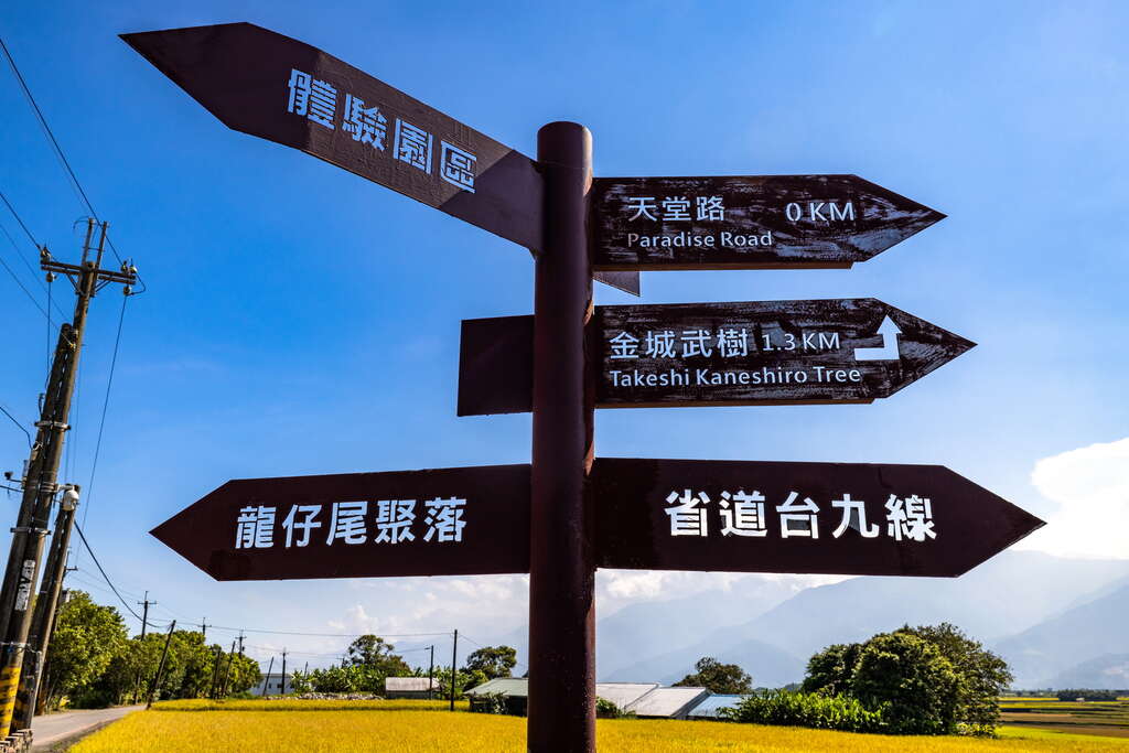 17指引天堂路，探索池上的秘境美景。_公司素材