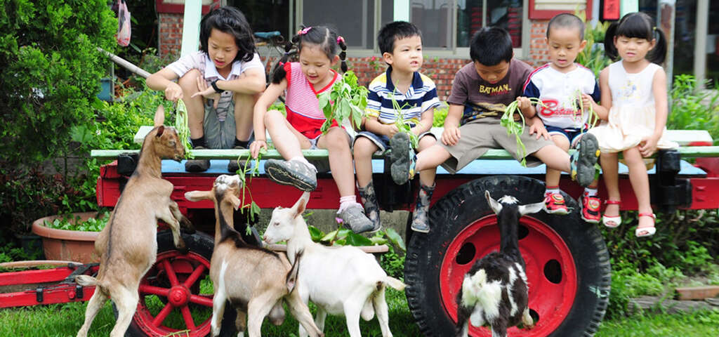 01小動物互動體驗，孩子餵食小羊，感受農村樂趣。_圖片取自農遊超市
