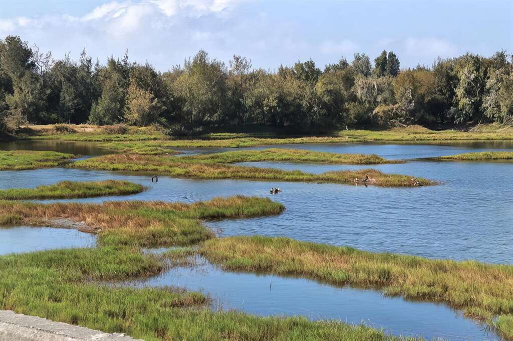 21南堤濕地的千島湖