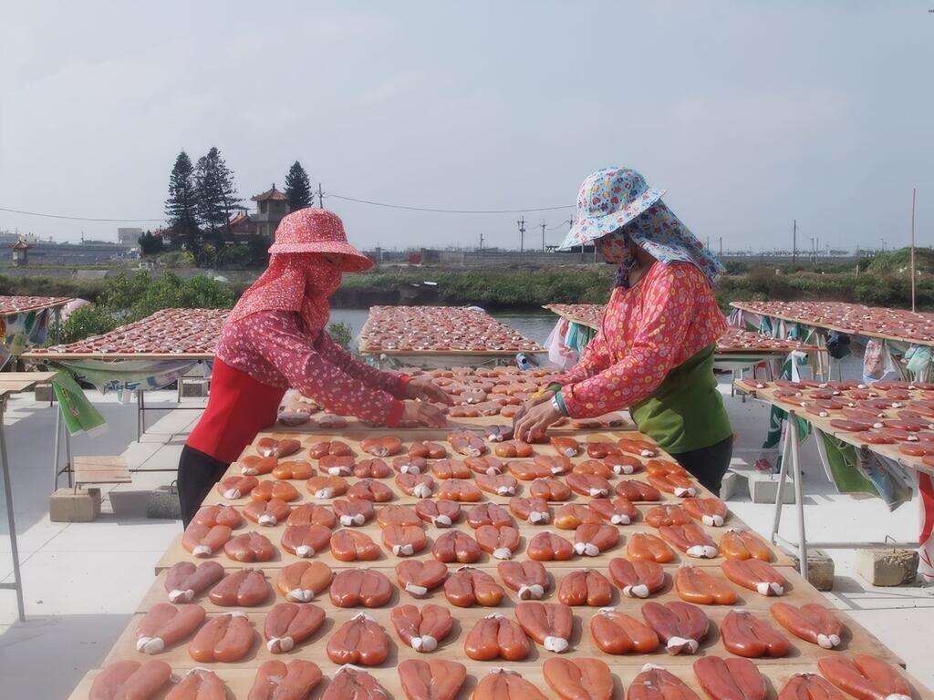 02口湖鄉烏魚子晾曬