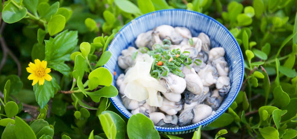 25向禾休閒漁場提供的鮮蚵蓋飯_圖片取自農遊超市