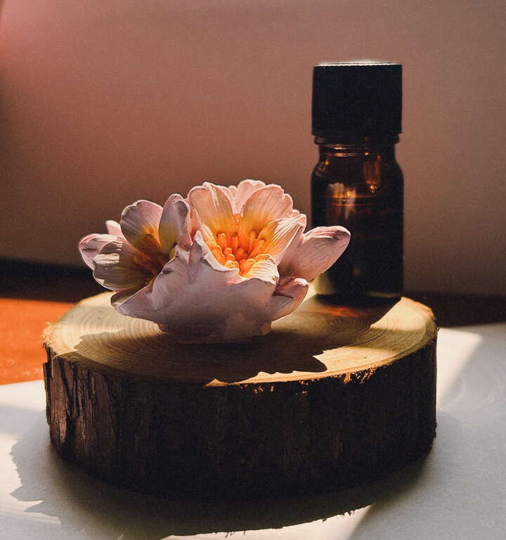 花香調香水DIY_圖片取自阿里山國家森林遊樂區