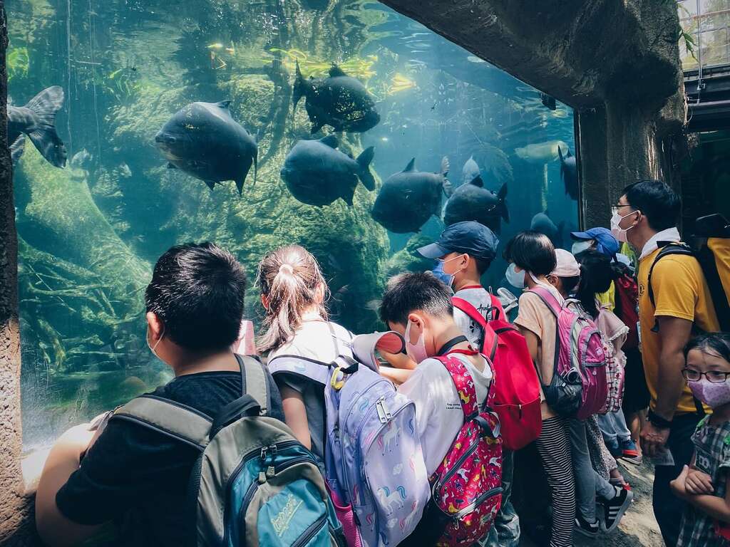 2025兜兜風國小夏令營_圖片取自地衣森林mossforest