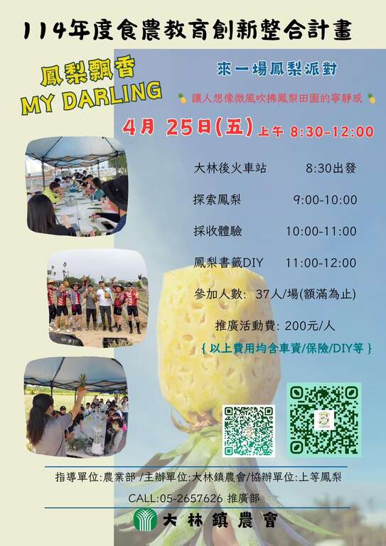 來一場鳳梨派對_圖取自大林鎮農會
