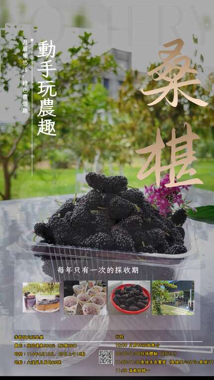 動手玩農趣-桑椹_圖由大溪月眉休閒農業區提供