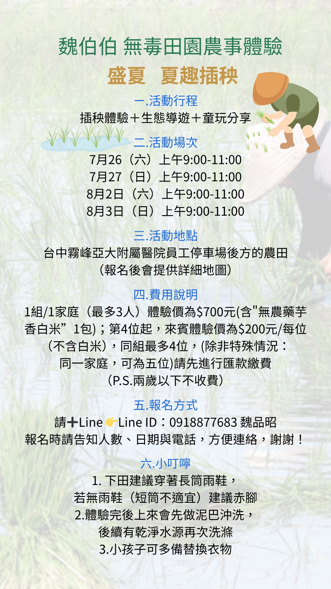 盛夏夏趣插秧_圖片為活動主辦方提供