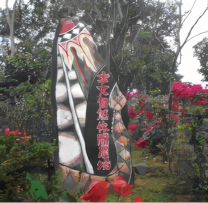 動物的嬉鬧處 萬物皆自在