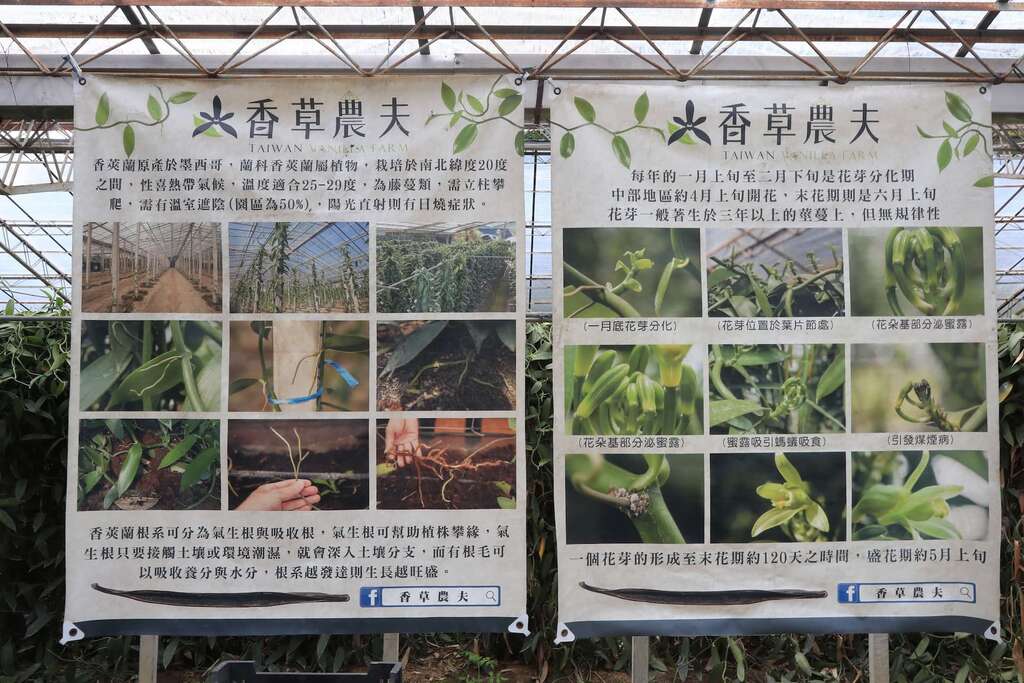 006香草農夫香草園中掛有海報，詳細解說香草種植與加工發酵過程003