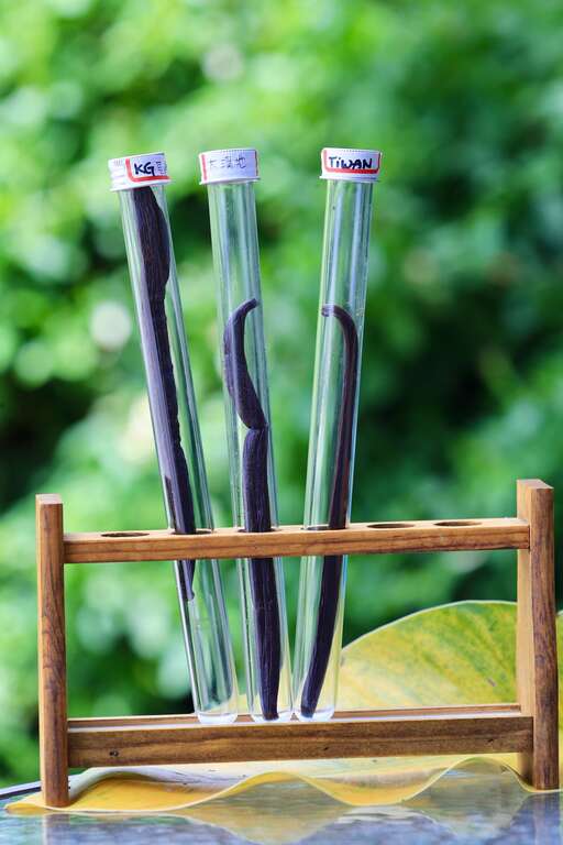 010香草騎士店內有多樣不同香草品種，可透過活動帶領認識香草氣味002