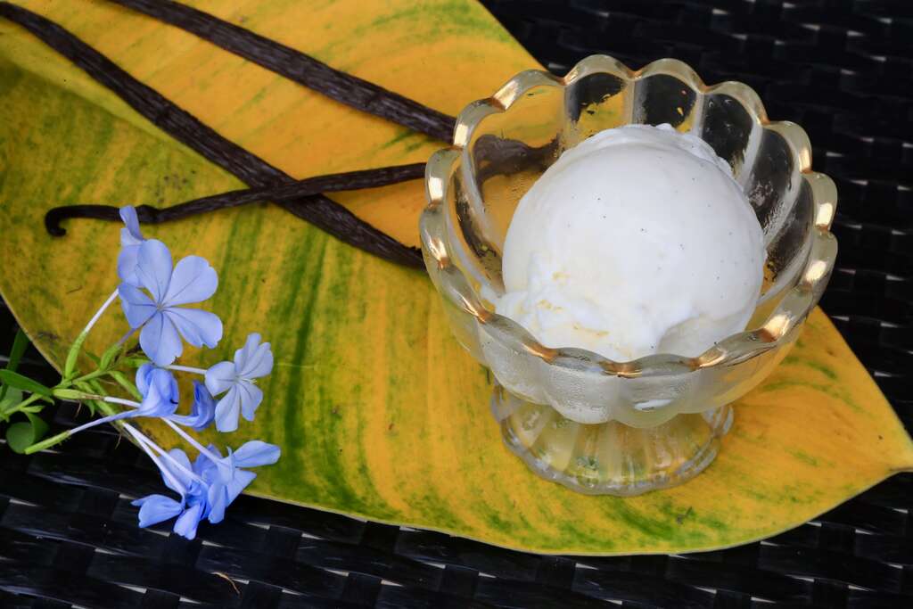 012香草騎士2022年起主打商品，就是自家種植的香草冰淇淋005