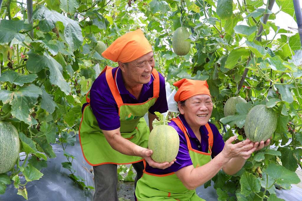 001官老爺官燿金與官夫人張金霞，結婚40多年還很甜蜜003