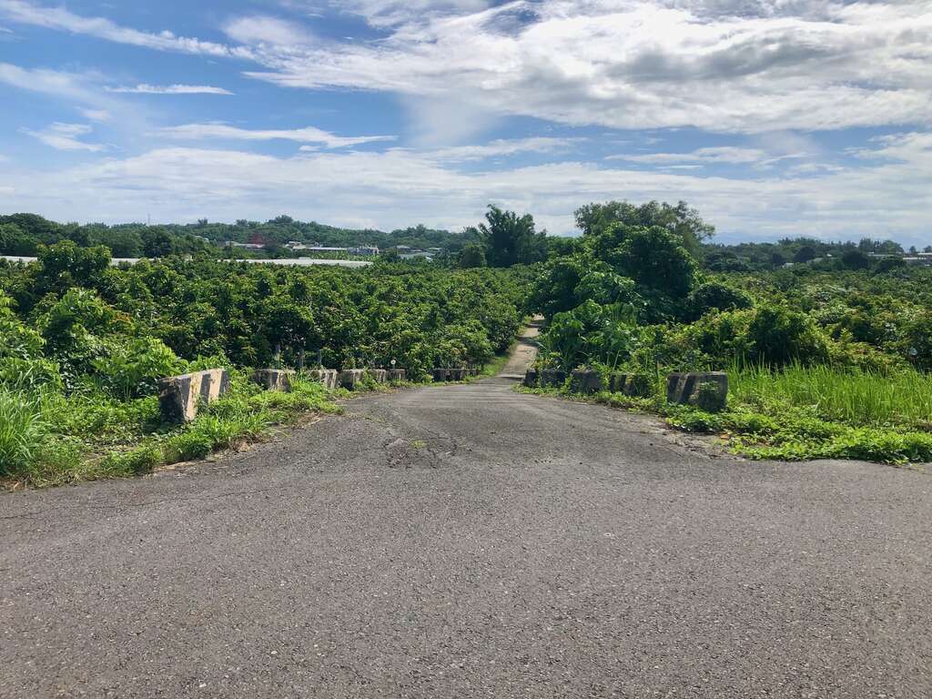 台南大內左岸幸福莊園入口處斜坡。因為位於曾文溪畔，加上酪梨營養豐富又名幸福果，因此命名左岸幸福莊園