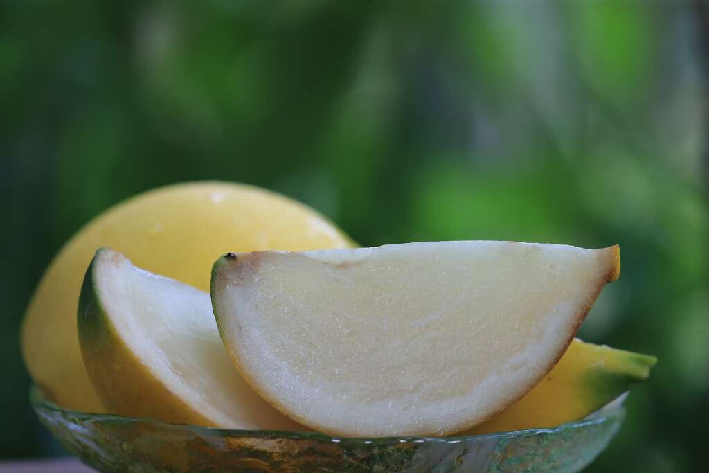 台灣黃金果品質愈來愈好，膠質非常濃厚黏唇