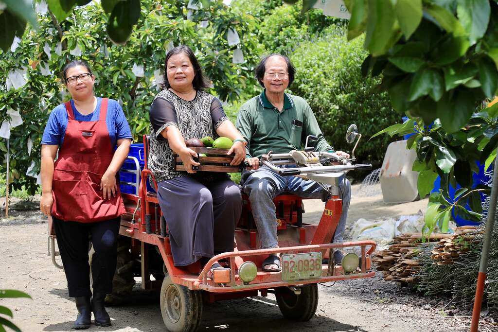 左岸幸福莊園一家人與今年度第一批採收、正準備出貨的酪梨