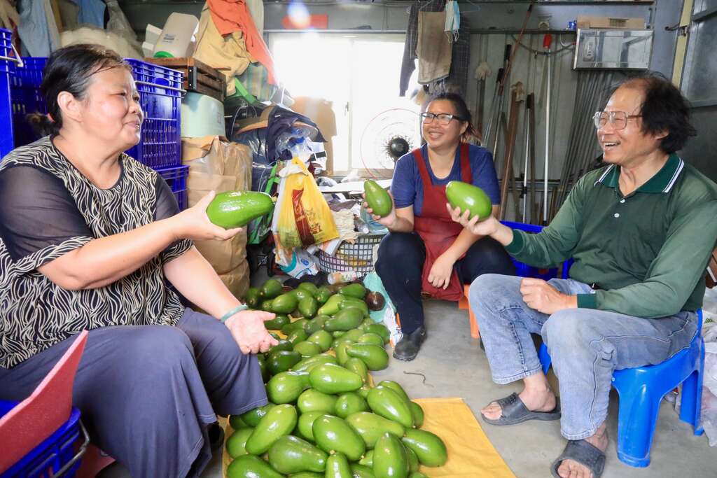 左岸幸福莊園一家人與今年度第一批採收、正準備出貨的酪梨02