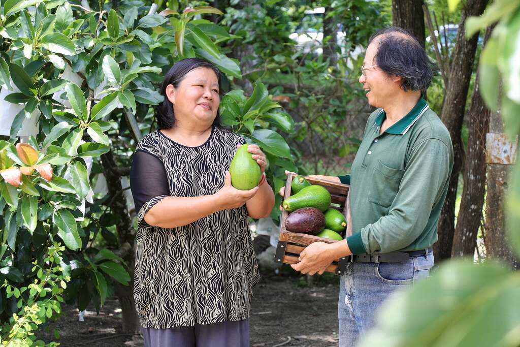 台南大內左岸幸福莊園楊金坤與李香芬夫妻