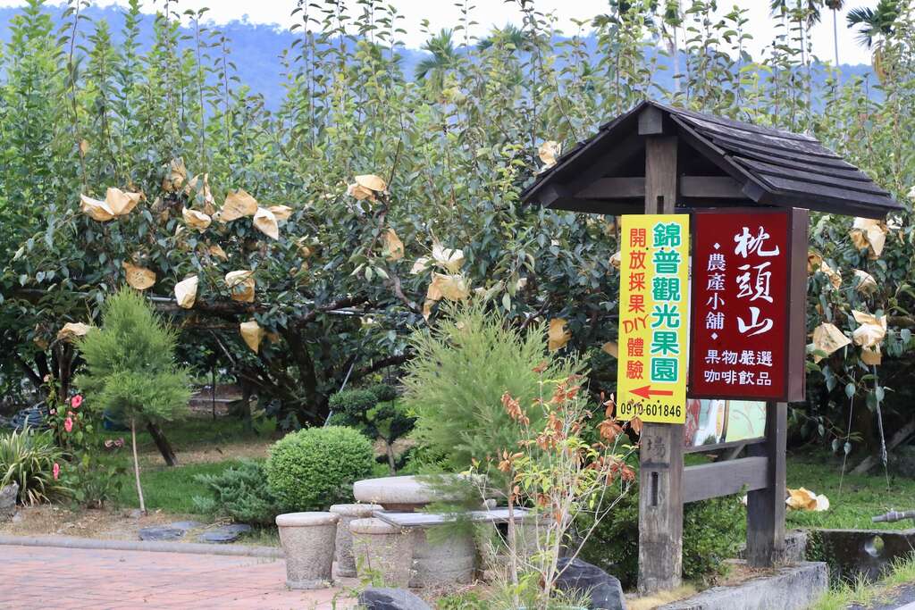 錦普觀光果園位於宜蘭員山鄉，一年四季都有不同水果可以自己採果