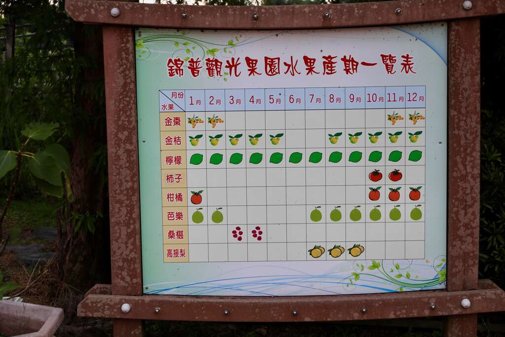 錦普觀光果園位於宜蘭員山鄉，一年四季都有不同水果可以自己採果02