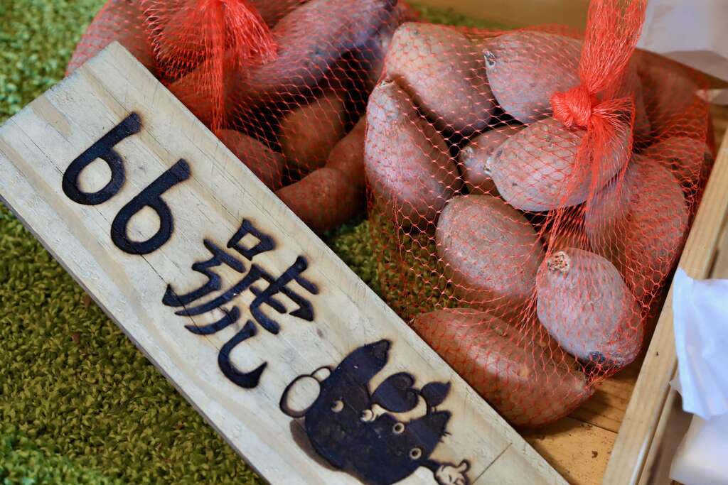 金山紅皮地瓜要從外觀判斷是否好吃比較難，所謂紡錘型或圓形或外皮其實影響不大，最重要還是挑產地02