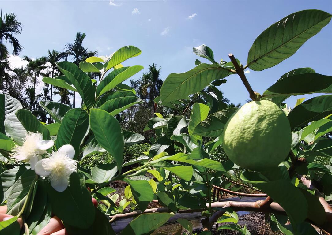 有自然，有驚喜，有美食，有回憶