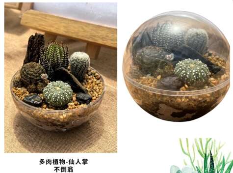 潮徑漫遊・嚮尋秘境_手作DIY_取自潮嚮 ‧ 山海基隆FB