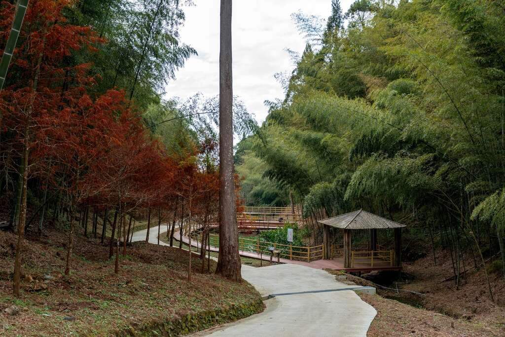 石壁休閒農業區_ 草嶺石壁森林療癒基地(3)