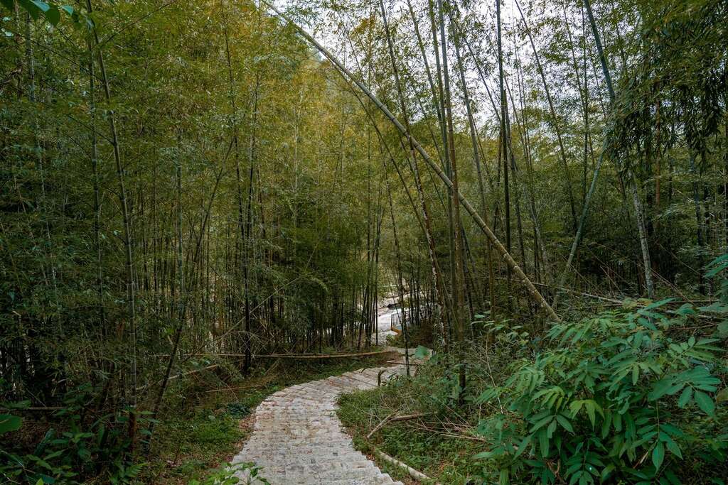 石壁休閒農業區_石壁仙谷 (2)