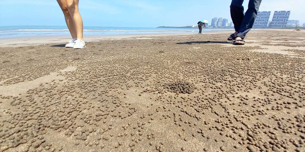 公司田溪生活巿集_穿越淡水時空小旅行_取自ACCUPASS