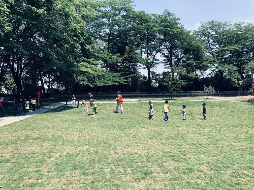 臺灣鱷魚王在這裡