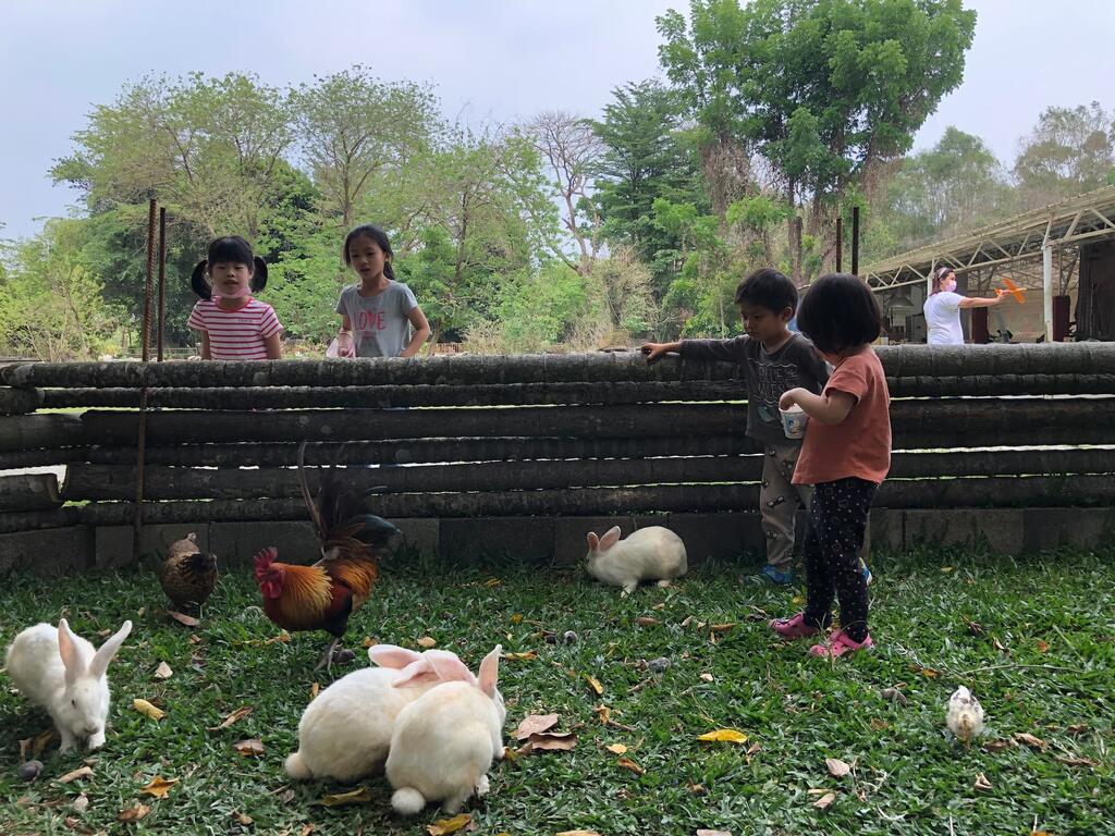 不一樣的生態教育