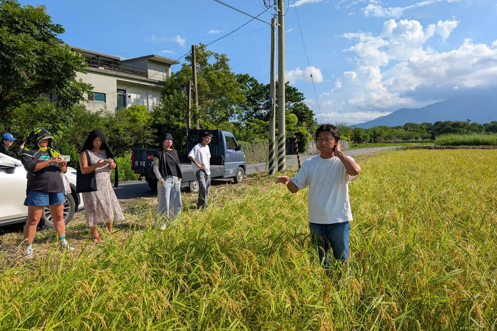 在吉野1號的稻田中解說