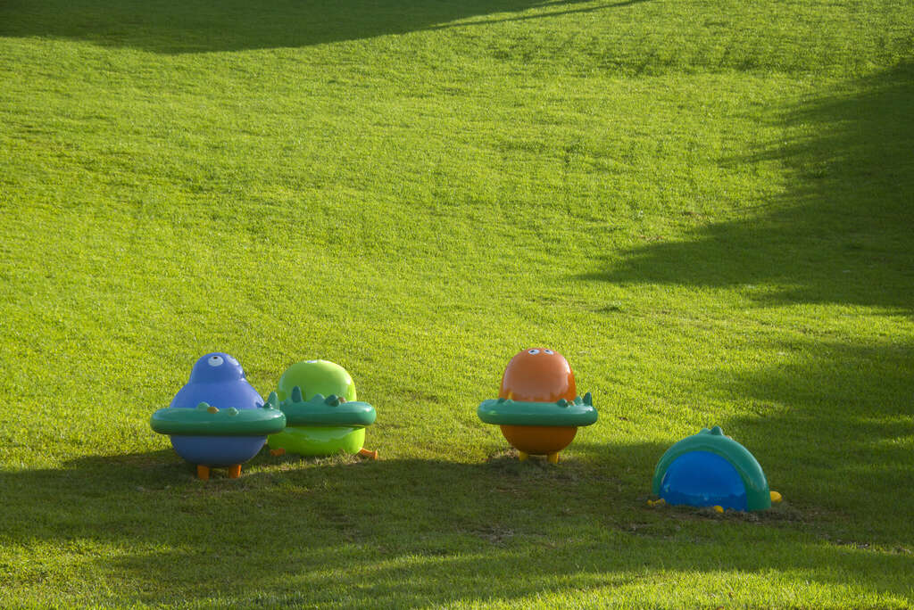 仰望星空-圖片來源：萬物糧倉大地慶典