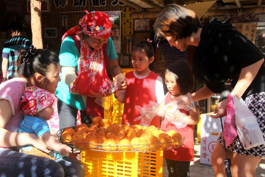 柿餅DIY體驗(柿餅製作第三天之後每天必要之工續)