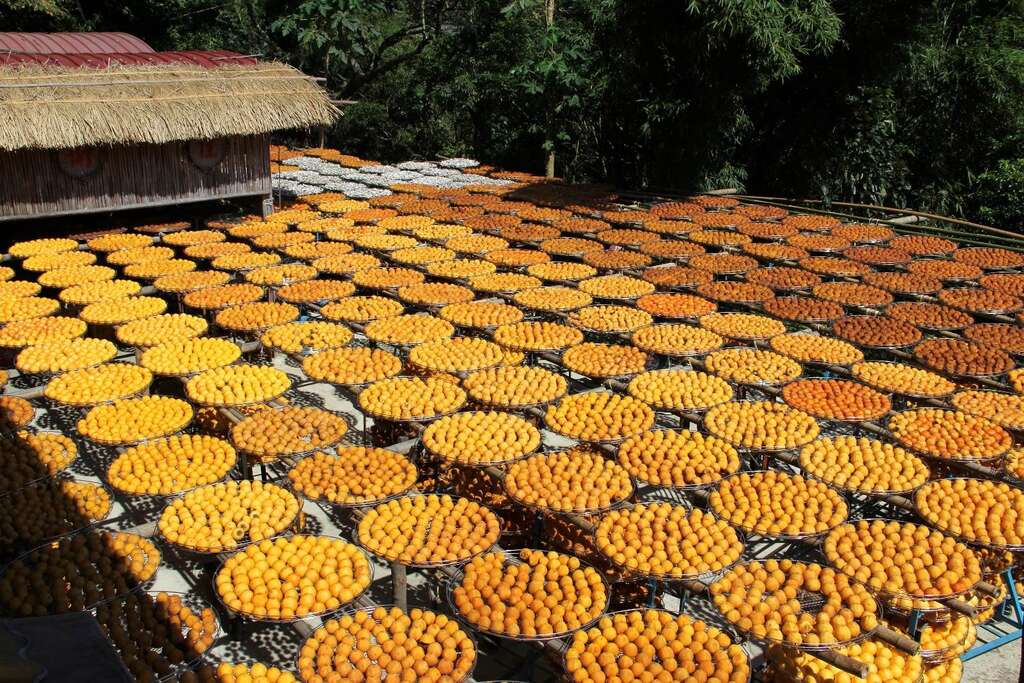 味衛佳柿餅教育農園-3