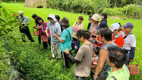 臺中市東勢區軟埤坑休閒產業發展協會
