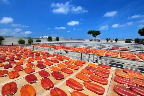 雲林縣口湖鄉金湖休閒農業發展協會