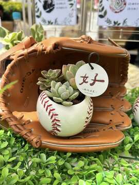 八號曲辰工作室(來源:8號曲辰FB粉絲專頁)