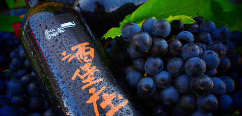 酒堡庄(來源:酒堡庄網站)