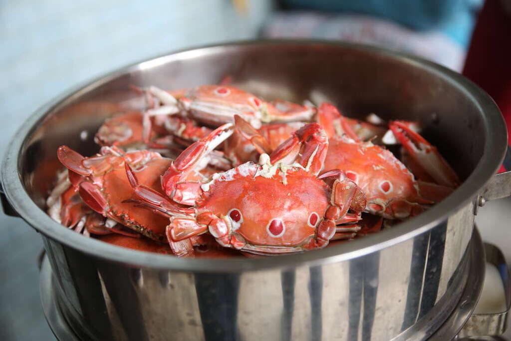 三點蟹-圖片來源：新北市觀光旅遊網