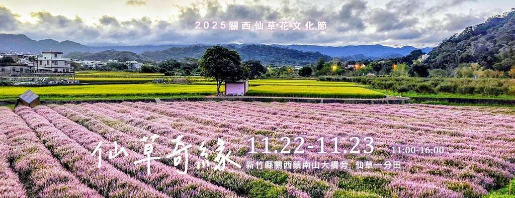 2025關西仙草花文化節_banner_取自關西鎮鄉土文化協會FB