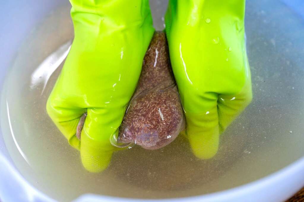 豐盛愛玉-手搓愛玉 圖片來源：台灣休閒農業發展協會