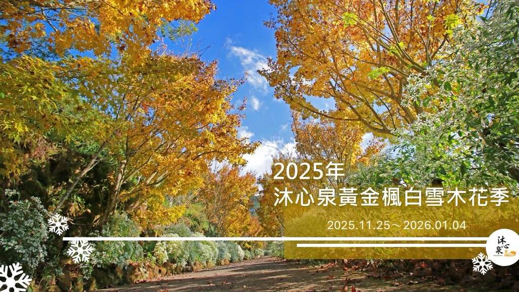 2025沐心泉黃金風白雪木花季_banner_取自沐心泉休閒農場FB