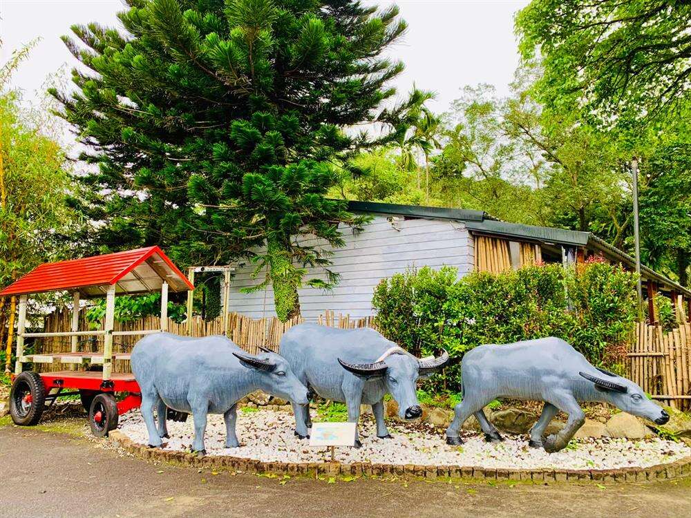 雙溪平林休閒農場