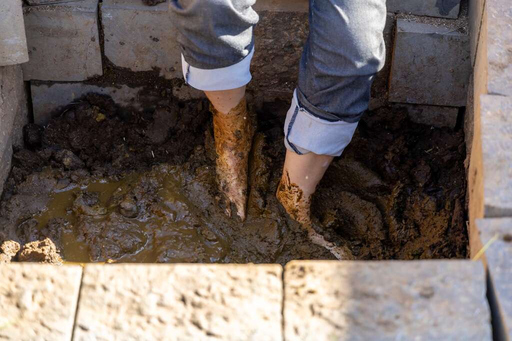 腳踩牛屎製作牛屎餅