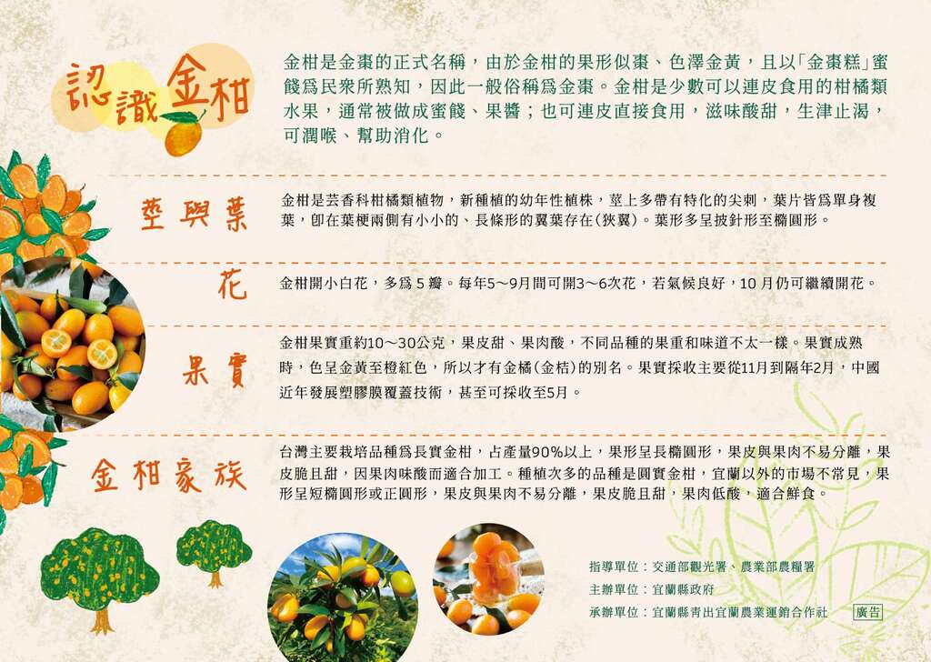 認識金柑_取自青出宜蘭官網