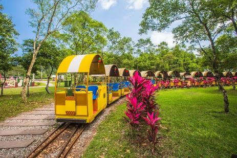 花蓮縣第四屆體驗活動金質獎_鳳梨派對列車_主辦單位提供