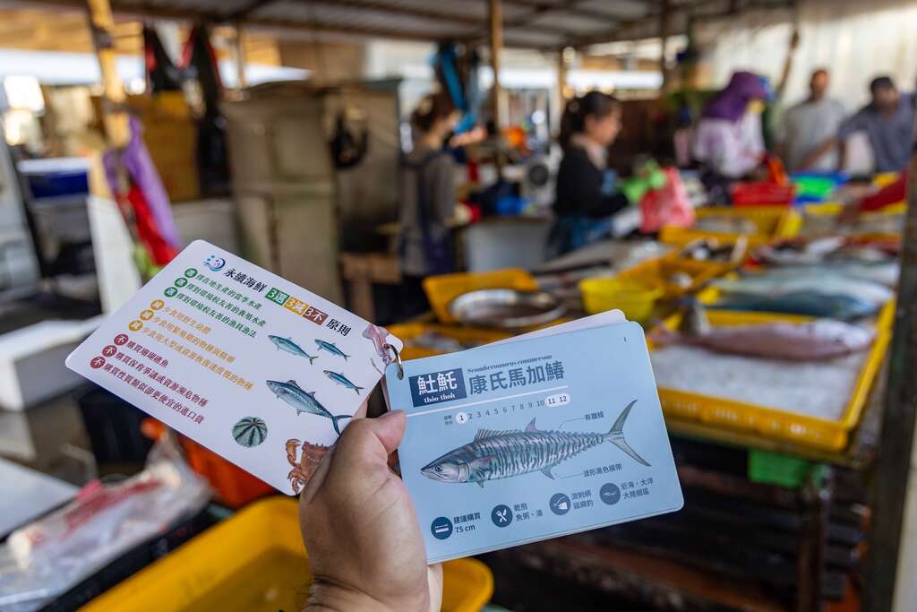 年年有椿-走訪澎湖魚市場認識當地漁獲