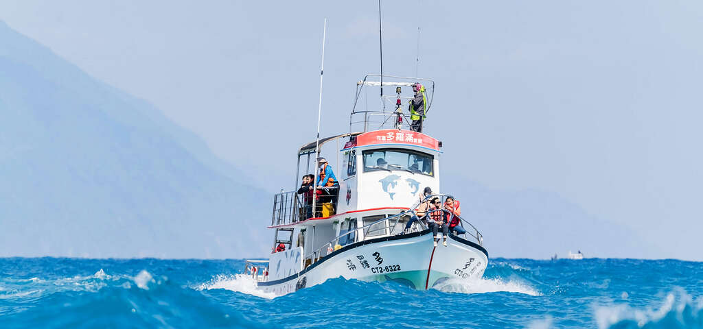 賞鯨出海 圖片來源：農遊超市