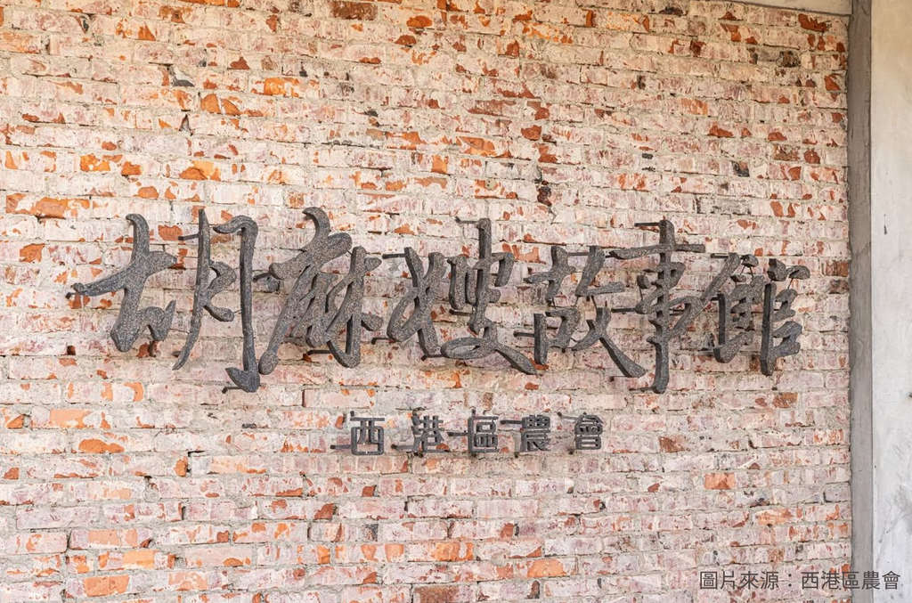 走讀農村：台南西港 台灣第一胡麻產地（西港區農會授權）