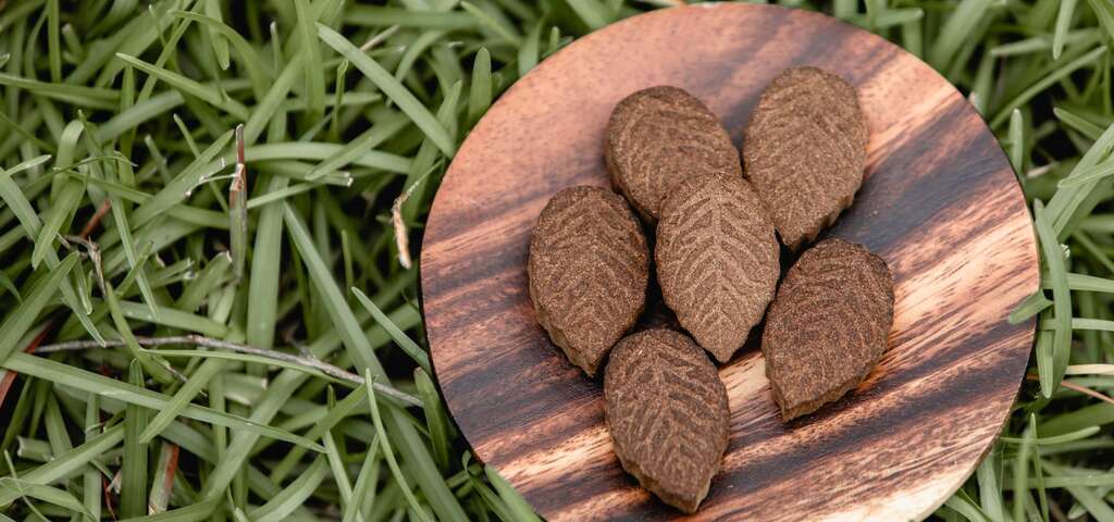 黃荊香 圖片來源：農遊超市